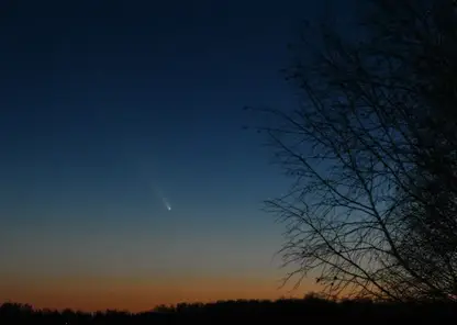 Российско-американский прорыв в биотехнологиях: изобретена полимерная «упаковка» для космических исследований