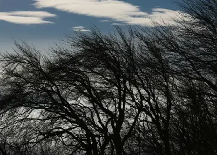 На Красноярск обрушится ураган с метелью. Когда?