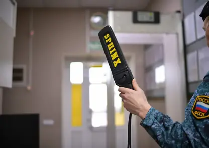 Более трех тысяч единиц оружия и боеприпасов пытались пронести в суды Красноярского края в 2025 году: среди них — электрошокеры, травматические и газовые пистолеты