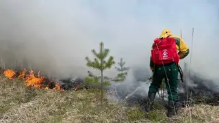 Лучшие лесопожарные подразделения Красноярского края получат 50 тысяч рублей на развитие Лучшие лесопожарные подразделения Красноярского края получат 50 тысяч рублей на развитие