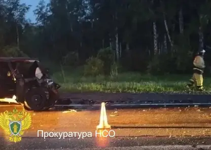 Смертельное ДТП под Новосибирском: бесправник вылетел на встречку — погиб подросток