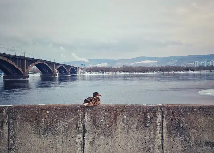 В Красноярске ожидается резкое потепление в субботу