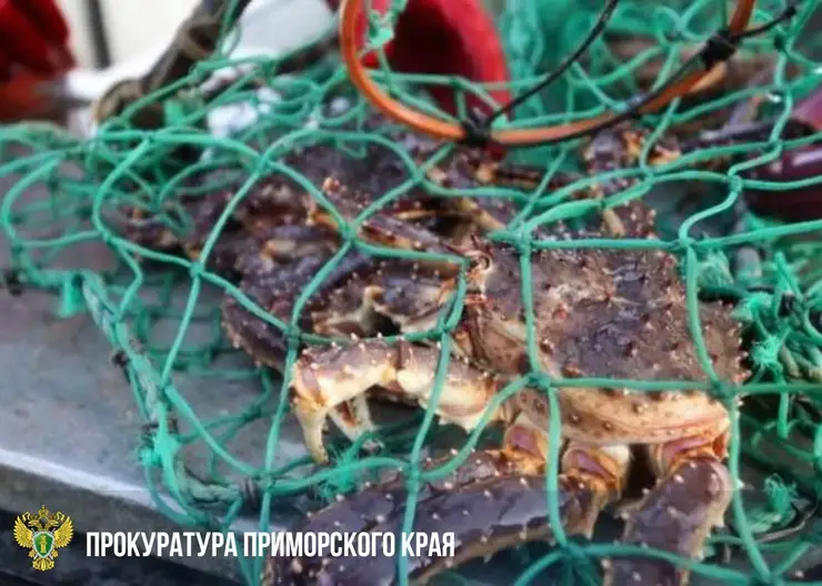 На Дальнем Востоке браконьеры предстанут перед судом за незаконную добычу краба на 11 млн рублей
