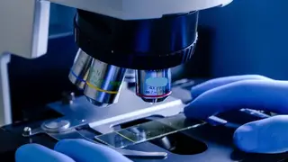 Затраты на научные исследования в Красноярском крае составили 42,5 млрд рублей Затраты на научные исследования в Красноярском крае составили 42,5 млрд рублей