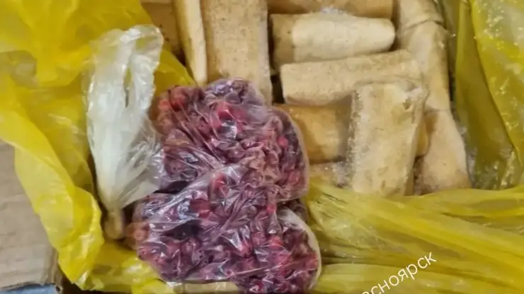 Зараженный сотрудник кухни мог стать причиной отравления 35 кадетов в Красноярске