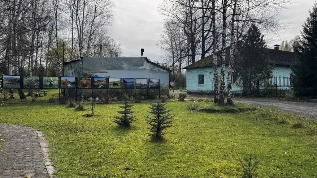 Фото: Пресс-центр заповедника «Кузнецкий Алатау»