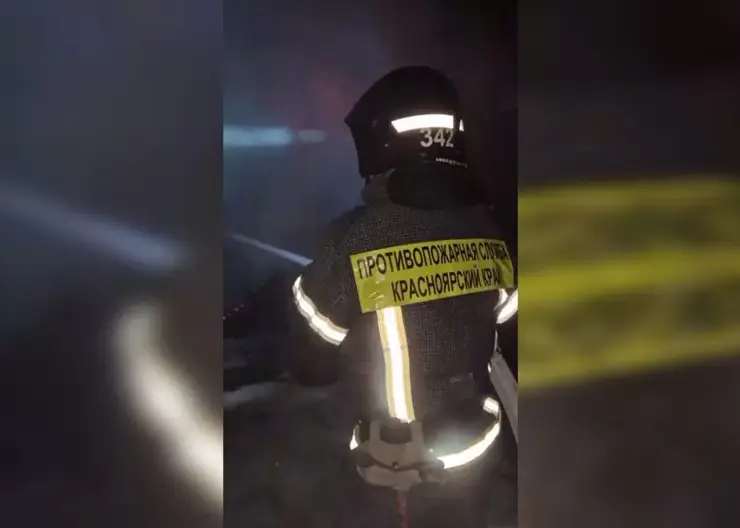 Пожар уничтожил почти 30 кур в деревне Красноярского края