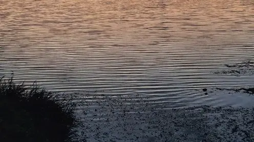 13 га акватории Красноярского водохранилища вернулись государству