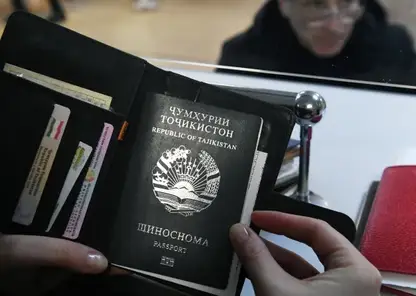 Ограничить декретные выплаты для мигрантов предложили в Госдуме