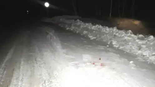 Жителя Красноярского края подозревают в незаконной охоте на двух косуль