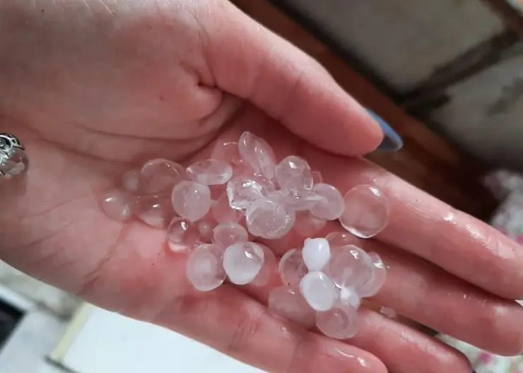 В Алтайском крае крупный град убил домашний скот и уничтожил посадки в огородах