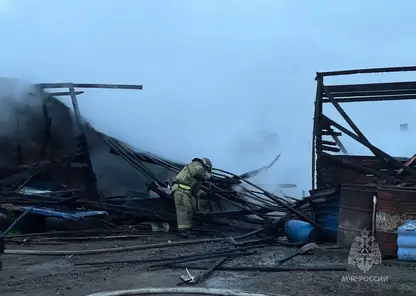 На ферме в Канске при пожаре сгорело 70 свиней