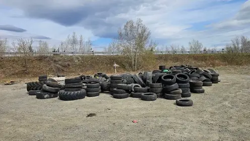 В районе Берёзовки под Красноярском обнаружили огромную свалку автомобильных шин