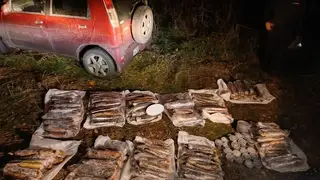 Пожарный незаконно выловил 217 краснокнижных рыб в Красноярском крае