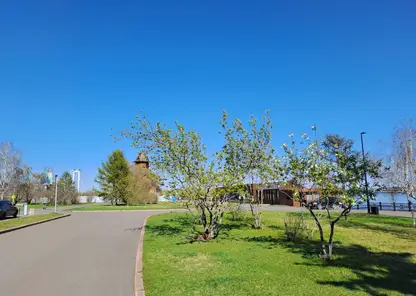 Теплая погода вернется в Красноярск в выходные