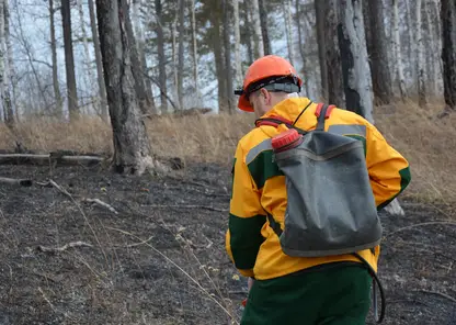 Более 900 лесных пожарных отрабатывают навыки борьбы со стихией в лесах Красноярского края