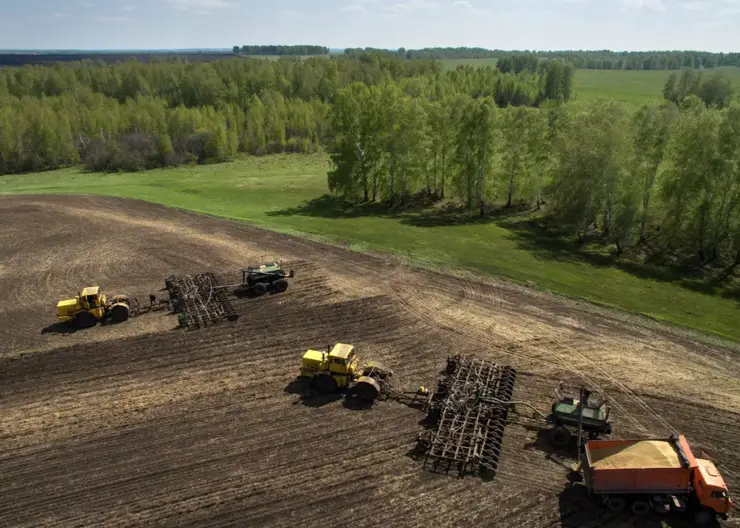 На Кузбассе возрождают сельхозработы на брошенных землях