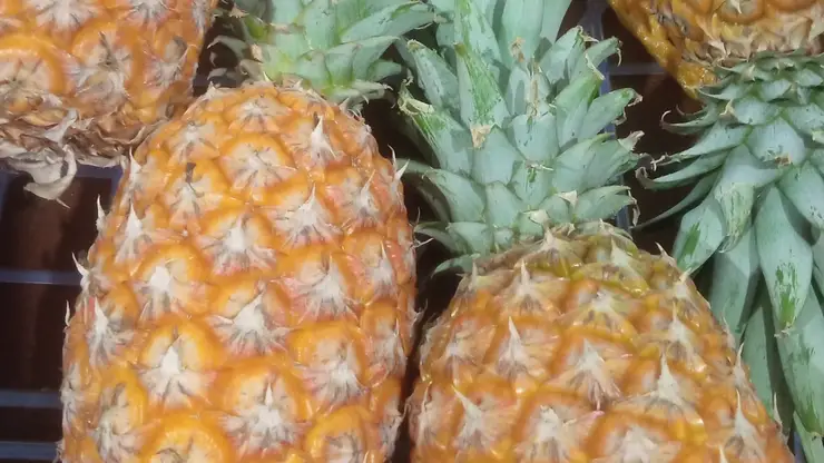 Россельхознадзор не допустил в Красноярск партию зараженных фруктов и овощей из Китая