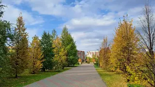 Последний теплый день: до +25 прогнозируют синоптики в Красноярске 27 сентября