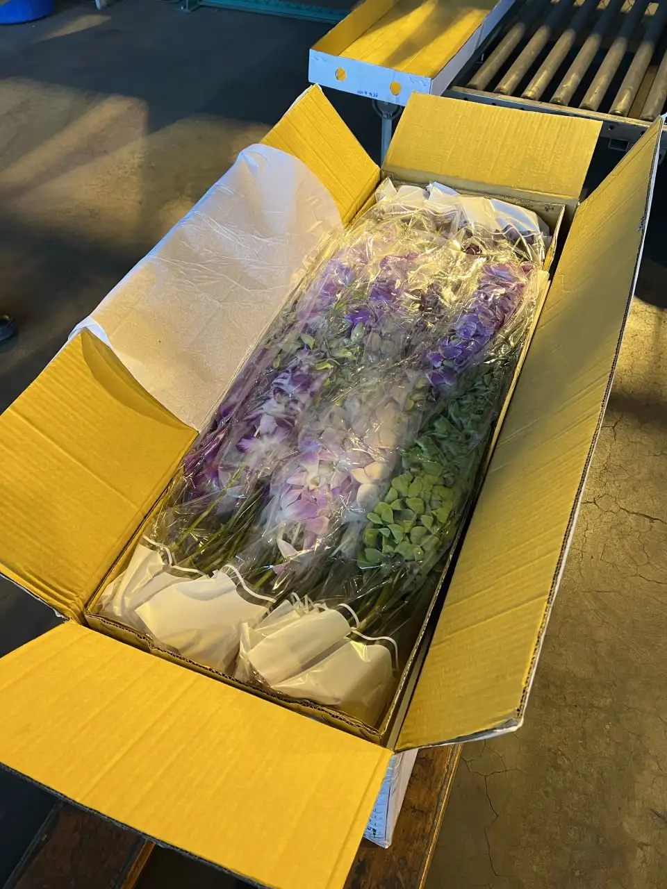 Фото: Россельхознадзор по Красноярскому краю