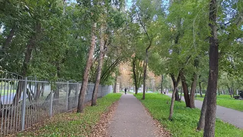 Дождливая и прохладная погода ждет красноярцев 14 сентября