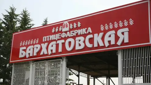 На птицефабрике Красноярского края выявлен очаг ньюкаслской болезни — введены ограничения