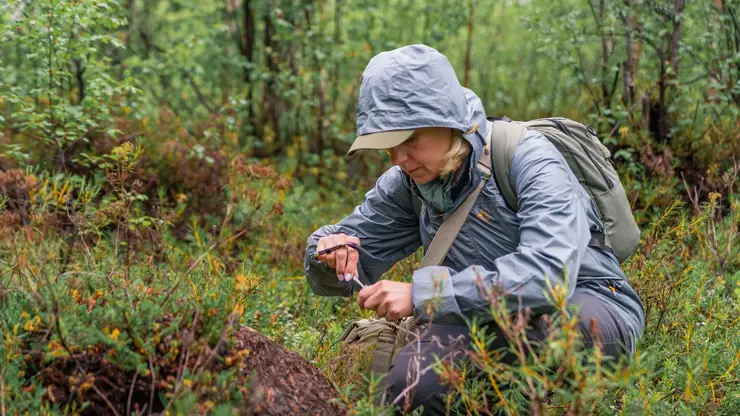 Вице-президент «Норникеля» Сергей Ткаченко: «Результаты экспедиций СО РАН и компании еще предстоит осмыслить в полной мере»