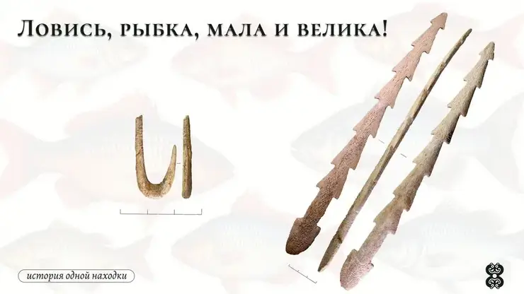Снасти для ловли рыбы возрастом 10 тысяч лет показали красноярские археологи