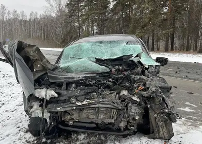 В Новосибирской области произошло смертельное ДТП