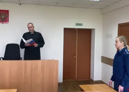 Экс-начальник Емельяновского лесничества осужден за коррупцию при отводе лесосек