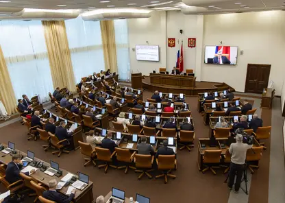 Регулирование численности бурых медведей предложили ужесточить в Красноярском крае