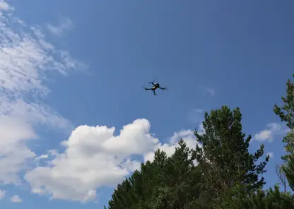 В Красноярском крае начнут ловить поджигателей лесов с помощью дронов и камер