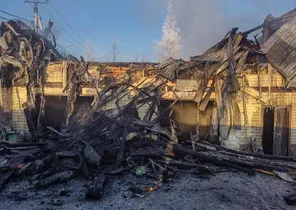 Мать и сын погибли при пожаре в Иркутской области