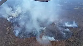 В Приморье за сутки выявили 20 лесных пожаров, один из них продолжает действовать