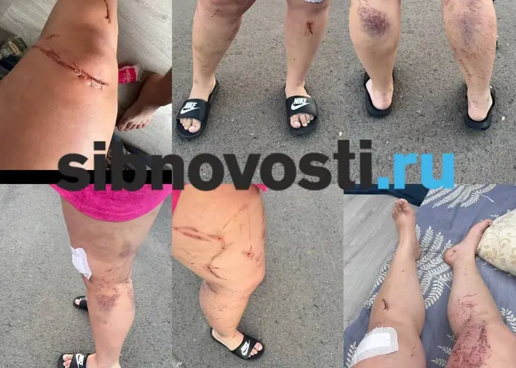 В Красноярском крае пьяный водитель сбил девушку с ребёнком и на машине прижал их к дому