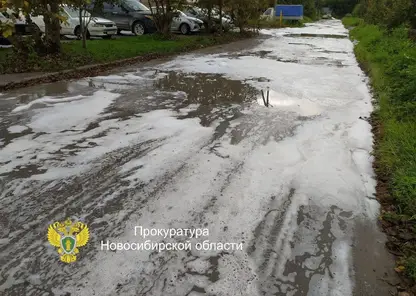 Неизвестная организация устроила мыльную реку в Новосибирской области