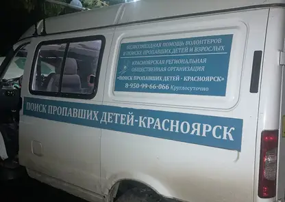 В прошлом году в Красноярском крае погибло 9 пропавших детей