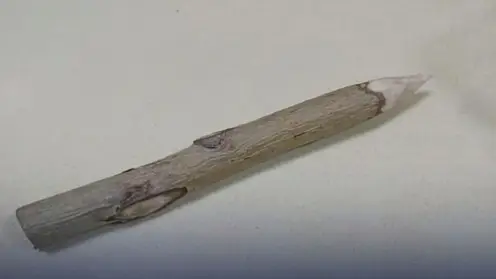 Жительница Омска пришла в суд с осиновым колом