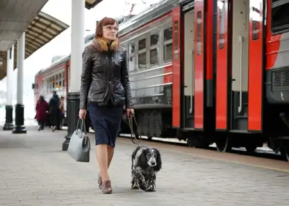 Пригородные поезда КрасЖД с начала 2025 года перевезли почти 45 тысяч домашних животных