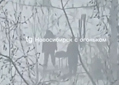 Новосибирцы жарили шашлыки в метель и штормовой ветер