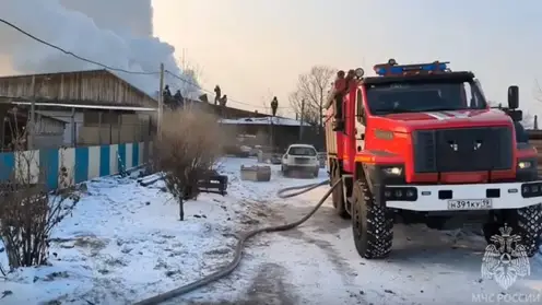 Приют для животных загорелся в Хакасии