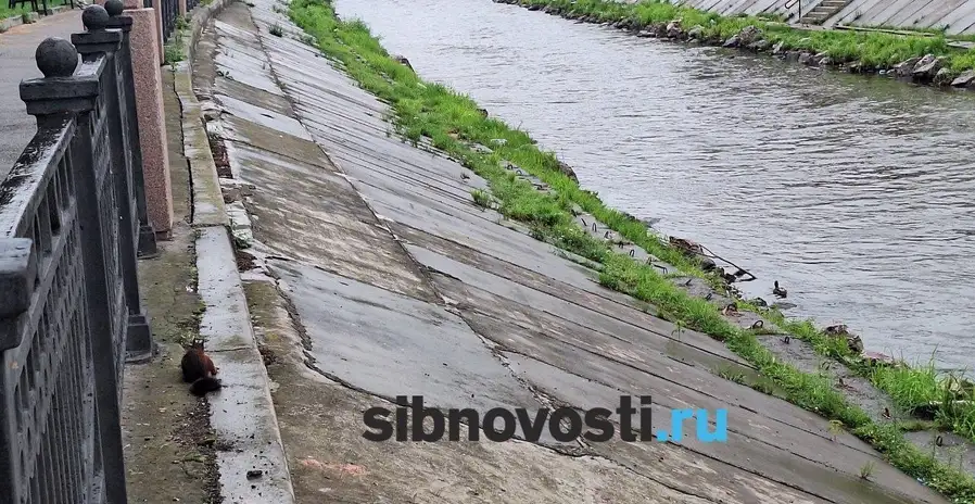 Фото: sibnovosti.ru