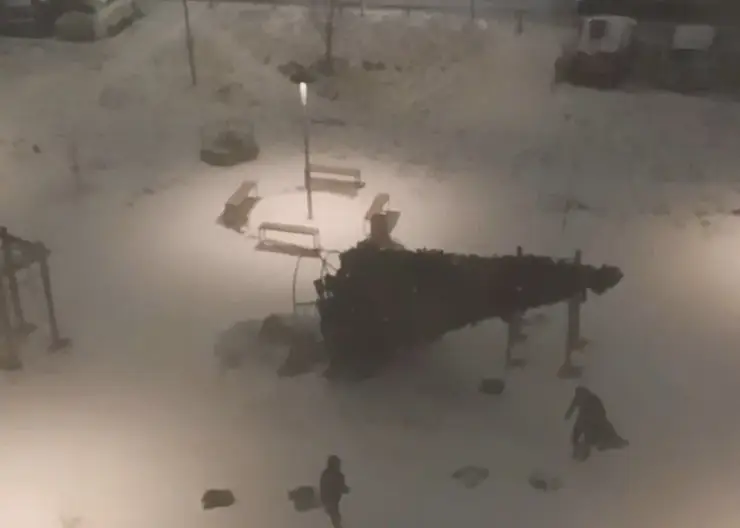 В Красноярске сильный ветер повалил ёлку в Преображенском микрорайоне