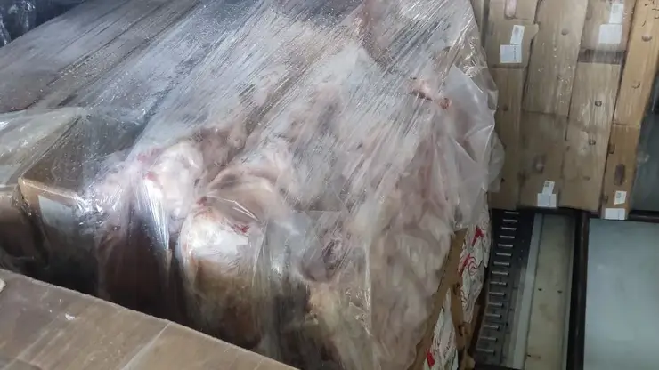 Больше полутонны подозрительного мяса без документов ввезли в Хакасию