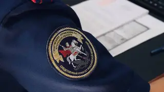 17-летнюю девушку задержали в Иркутской области за избиение 11-летнего ребенка