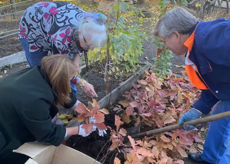 Семья Рыбаковых из Красноярска подарила городу 115 саженцев дуба