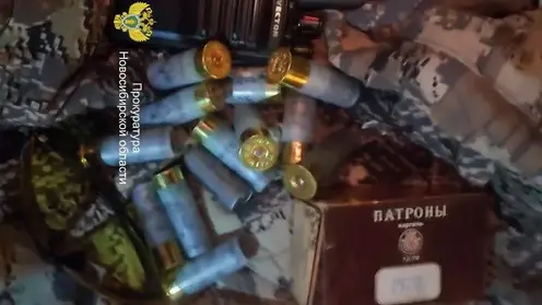 Застрелившего главу Ленинского района Новосибирска отпустили под подписку о невыезде