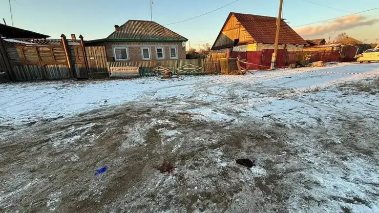 Овчарка напала на девочку в хакасском Черногорске: ее хозяйке назначили исправительные работы