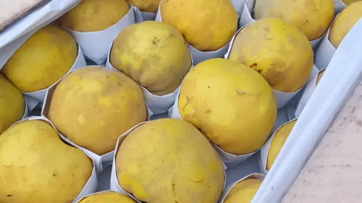 В Красноярском крае впервые в 2025 году выявили опасную гниль в партии фруктов из Китая