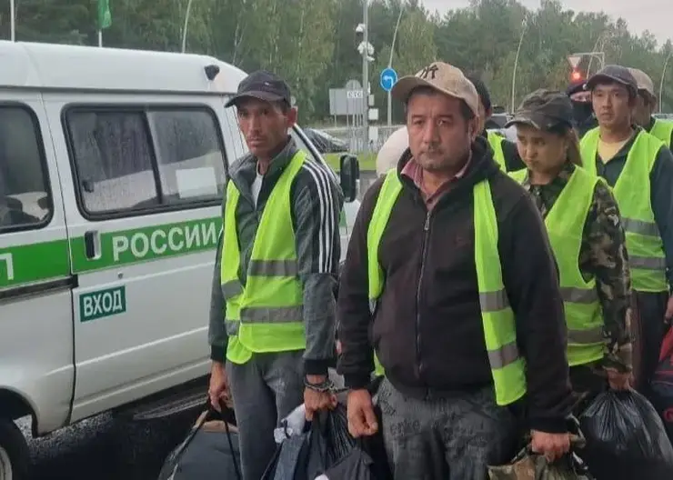 В Красноярском крае выдворили первых нелегалов после рейда в теплицах